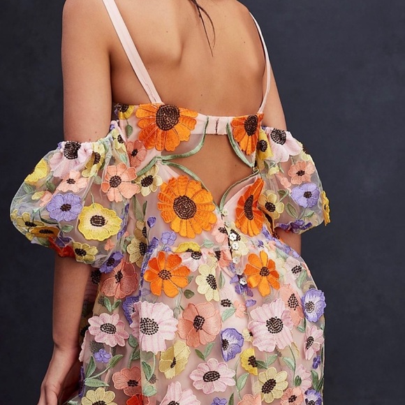 For Love & Lemons Floral Embroidered Sheer Mini Dress in Pastel Multi - Picture 2 of 11